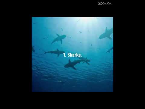 Jojo siwa🦹‍♀️