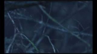 Axel Rudi Pell - The Curse of The Damned