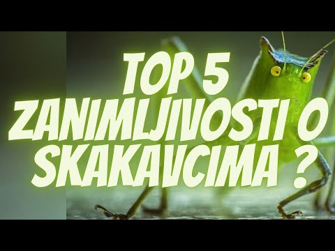 TOP 5 Zanimljivosti o Skakavcima