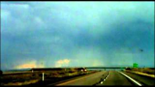 "Dinosaur Bones" written by Sean Kelly