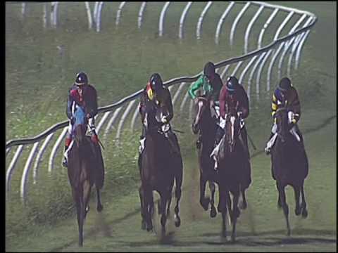 Galoppo 27/08/2016 - 6° corsa