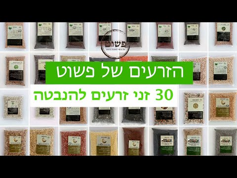 Photo of Pashut Kinneret Clay Cookware For Healthy Eating