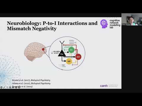 OHBM 2024 | Educational Course | Connectome-based models of wholebrain dynamics | Part 8