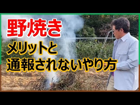 庭で段ボールをどうやって使う？過小評価されない 4 つの賢い使い方  庭園