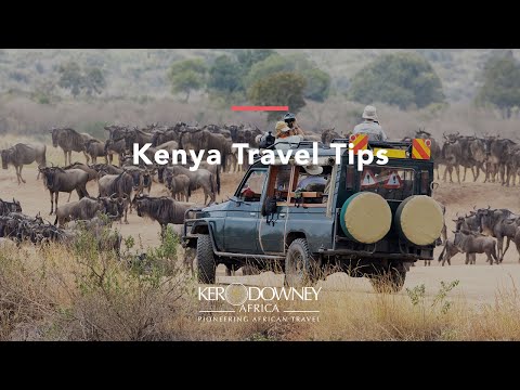 Kenya safari | Ker & Downey® Africa luxury travel tips