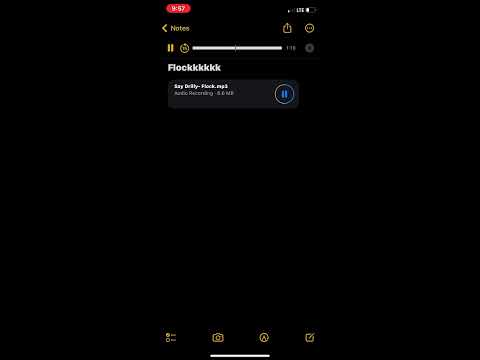 Say Drilly Flock (Full Song) (Unreleased)