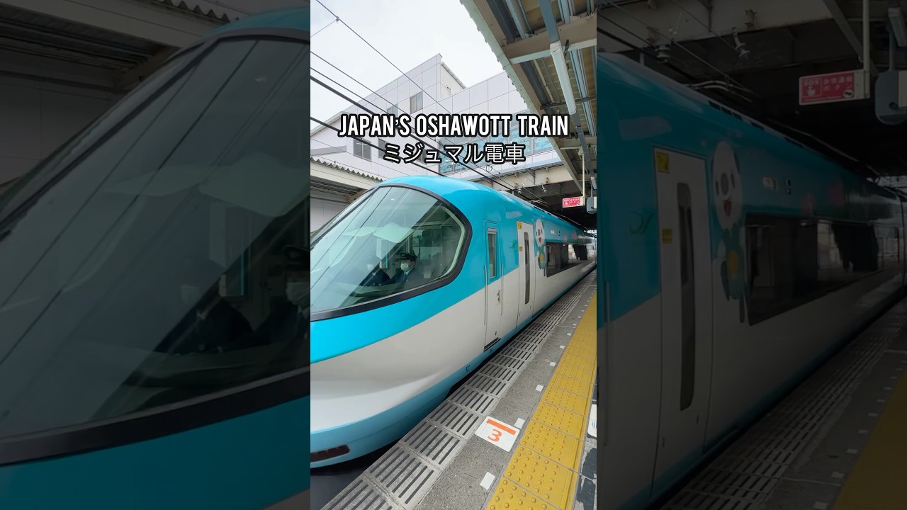Pokemon Trains in Japan: Oshawott