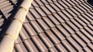 Nutech paint - color bond dune tile flex paint after pressure clean and pointing