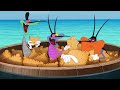 Oggy And The Cockroaches Who Ate It All BEST CARTOON COLLECTION New Episodes In HD