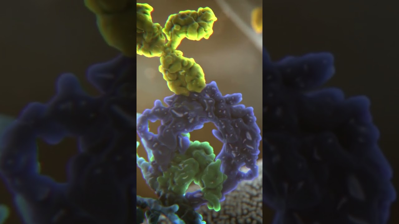 Enjoy your SciArt clip! | Science Animation