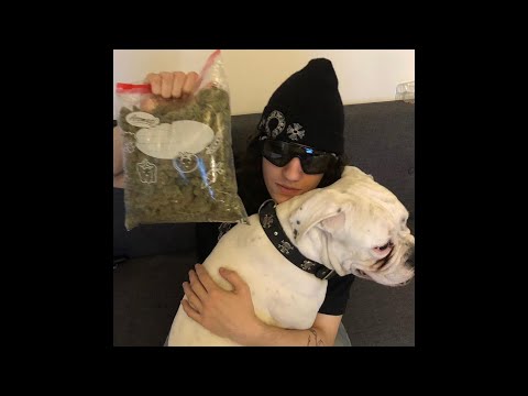 FENDIGLOCK & THRILL PILL – Делаю Деньги (release 02.11.2025)