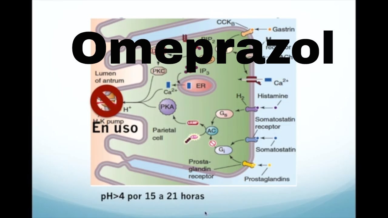 Pharmacology of omeprazol and other drugs for gastric acidity