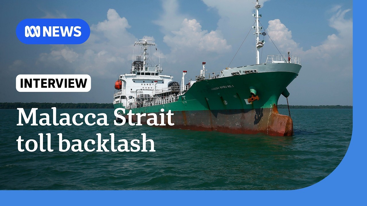 Indonesia 'wrong' to suggest toll for ships in Malacca Strait, says economist | The World ABC News