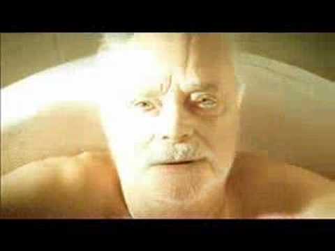 Everything Is Illuminated