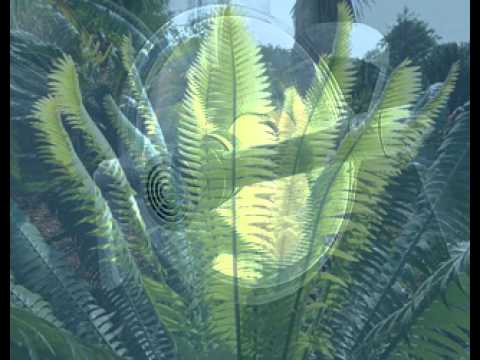 Selbsthypnose für Patienten mit Angst vor Zahnbehandlungen