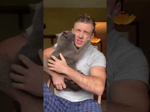 This is the reason for the scratches on my face #shorts