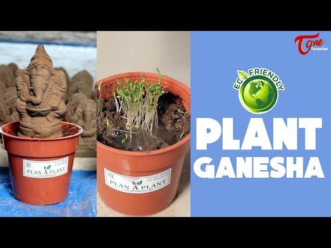 download lagu mp3 mp4 Plant Ganesha, download lagu Plant Ganesha gratis, unduh video klip Plant Ganesha