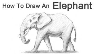 Смотреть онлайн Как поэтапно нарисовать слона крандашом