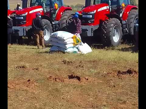 Kynoch Fertilizer Success Story in Lesotho
