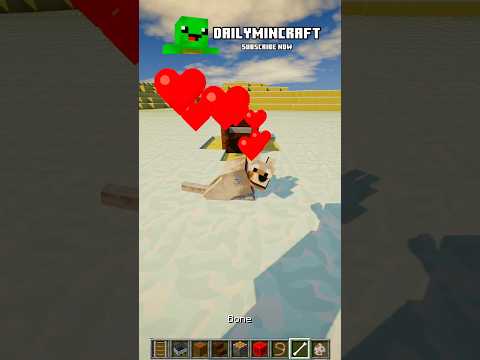 Observe the Impossible: A Dog Sled in minecraft #shorts