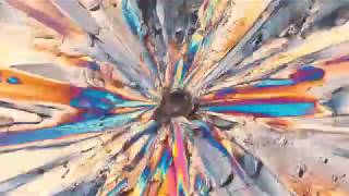 León Larregui - Lattice