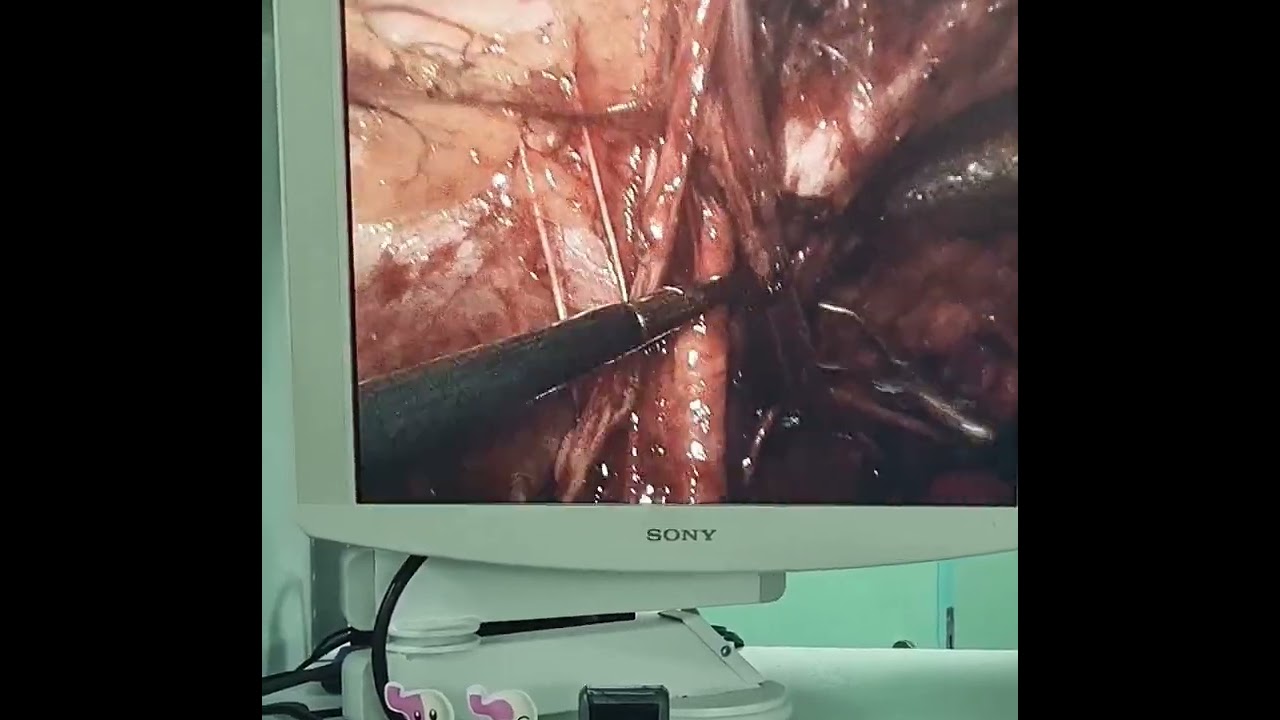 Walter Francisco Cintra Rabelo Holanda-2