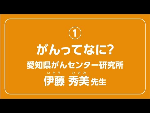 Ba??aについて詳しく解説