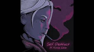 Self Destruct Music Video