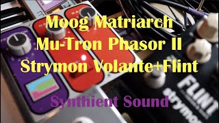 Video thumbnail for Playing Moog Matriarch through Mu-Tron Phasor II, Strymon Volante and Flint by Synthient Sound