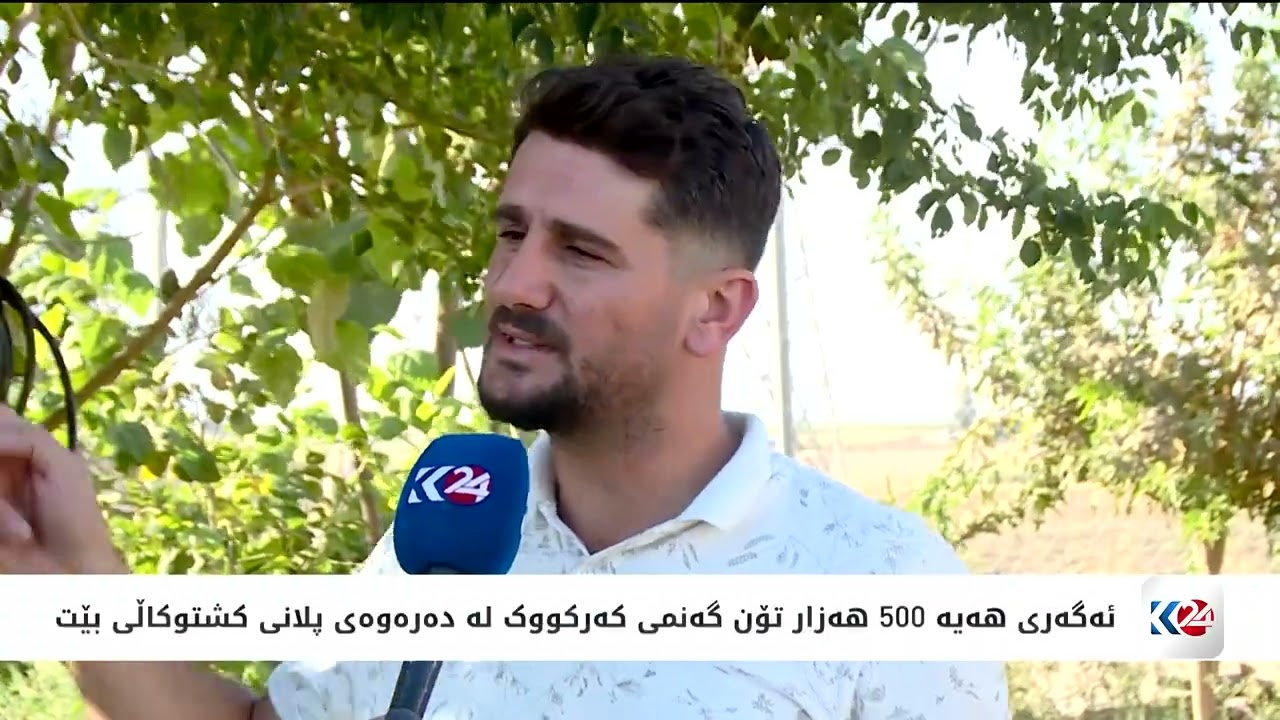 ڤیدیۆ | عێراق 410 هەزار تۆن گەنم لە جووتیارانی کەرکووک وەردەگرێت