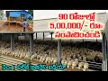 New Village business ideas in telugu 90రోజుల్లో  5,00,000/-Latest small business Goat, Sheep Farming