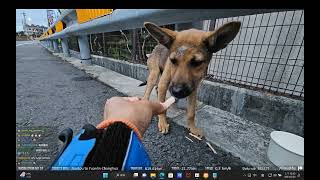 [問卦] 企鵝：我至少每年會來看Gina一次