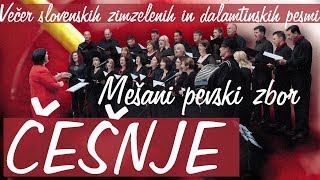 preview picture of video 'Letni koncert MePZ Češnje'