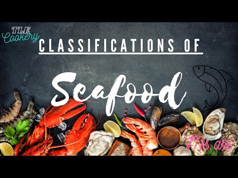 Classificações de frutos do mar | Culinária