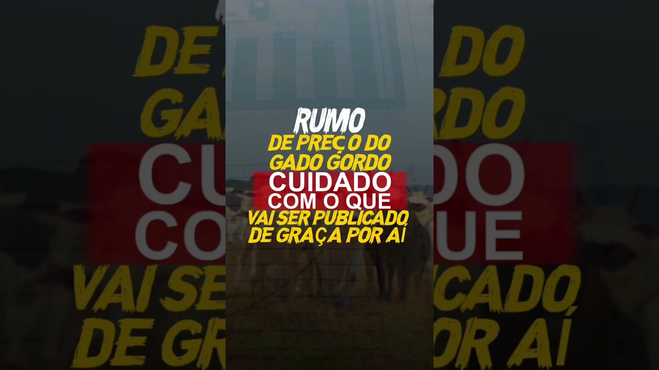 RUMO DE PREÇO DO GADO GORDO? CUIDADO COM O QUE VAI SER PUBLICADO DE GRAÇA POR AÍ