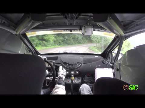 WILLIAMS ZANOTTO - THOMAS ZANOTTO - RALLY DI CREMONA 2014  - CAMERACAR PS VERONICA