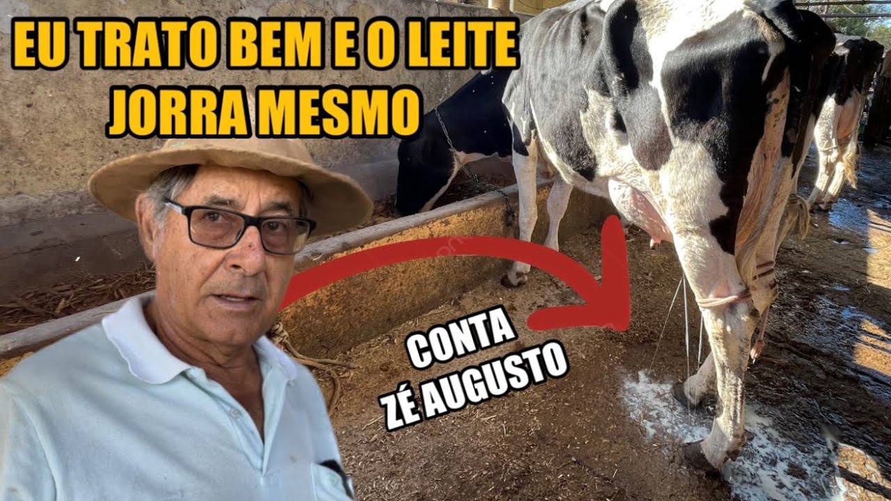 É POSSÍVEL TER MUITO LUCRO COM LEITE!