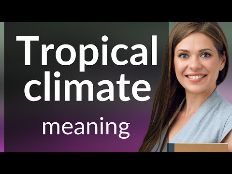 Understanding Tropical Climates: A Guide to Earth's Warmest Regions