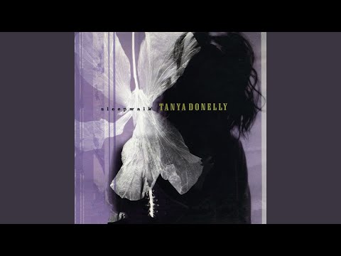 The Storm cover