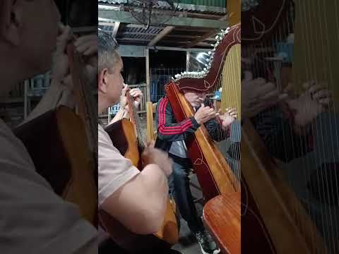 Arpa 🪉 de Tito Maciel Candelaria Misiones.