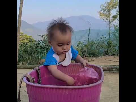 “Single Mother Builds Chicken Coop for Raising Chickens | Child Looks with Admiration”