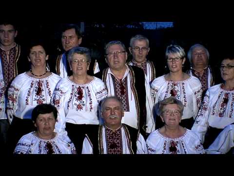 Pada diždž - KD Rusina i Ukrajinaca - Vinkovci