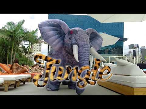 Jungle Experience - Artists and More