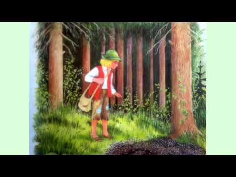 Szewczyk Dratewka (Baśnie/bajki/słuchowisko)