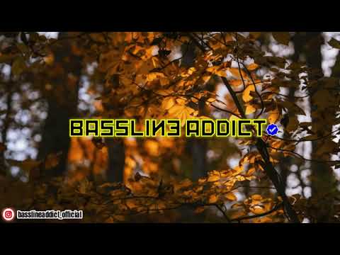 Direct Ft. Tez Kidd & Asher - Into You│BasslineAddict