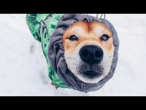 Jackson with minubi play