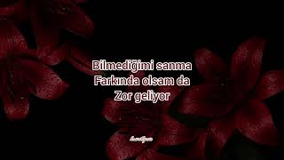 Download lagu DKTT&DILAN BAYKAL ( lyrcis ) mp3