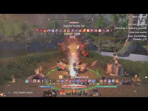 Eso SoF DK 100k dps Runecarver 3m 30s