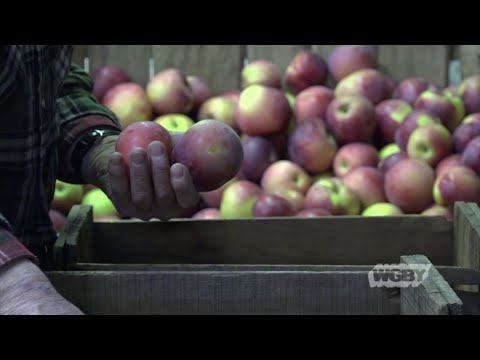 Winter Farmers Markets, Parte 1: Conheça os Agricultores | Ponto de Conexão | 12 de fevereiro de 2019