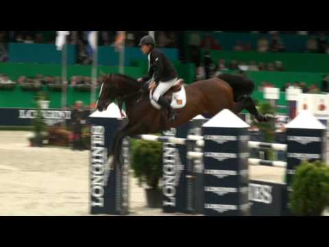 ♂ Casall- jumping stallion  (HOLST) by Caretino